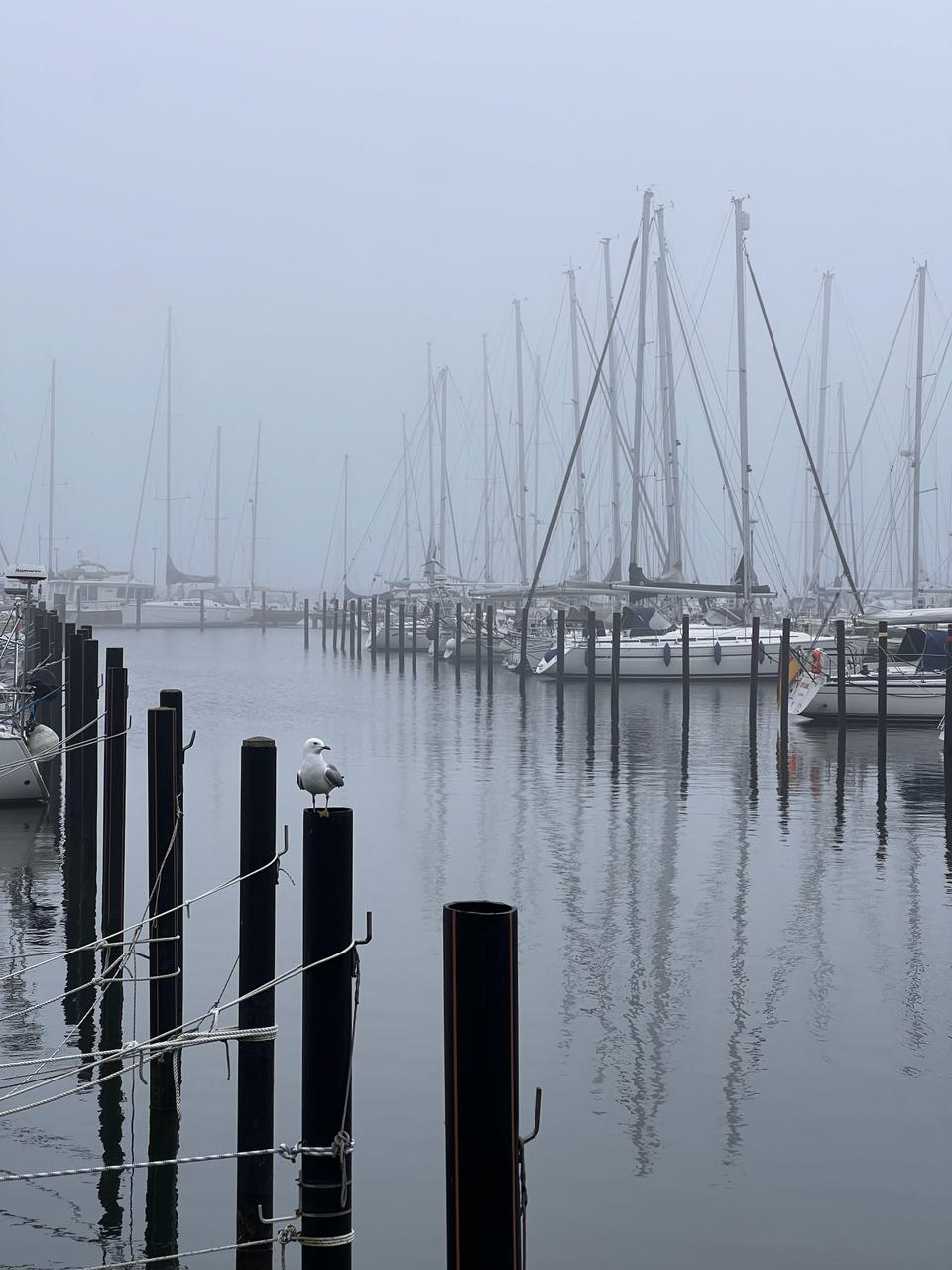 Путь на Борнхольм. Часть 8. Heiligenhafen — Kiel